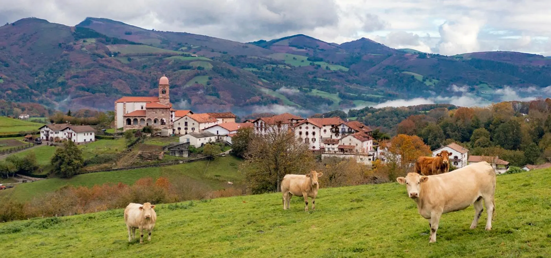 Ziga - valle de Baztan