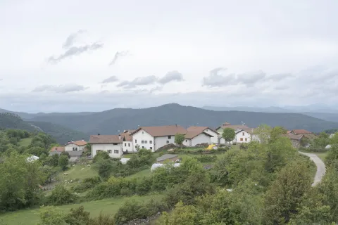 Conjunto de caas tradicionales de Aintzioa en valle pirenaico navarro rodeado de bosque y prados verdes.