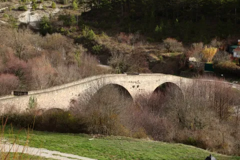 Puente de piedra de dos arcos sobre río en Aoiz, rodeado de vegetación y bosque.