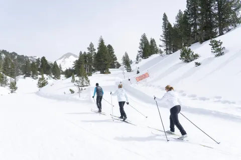 fondo en raquetas de nieve recorren la pendiente nevada de Larra-Belagua en el Pirineo navarro, con abetal y hayedo al fondo.