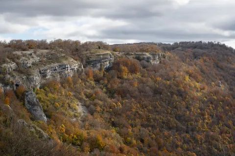 Cortados calizos de la Sierra de Urbasa emergiendo sobre hayedo otoñal en tonos naranjas.
