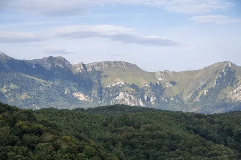 Araitz desde el Observatorio del Cable de las Malloas con bosque de roble en primer plano y cortados calizos al fondo.