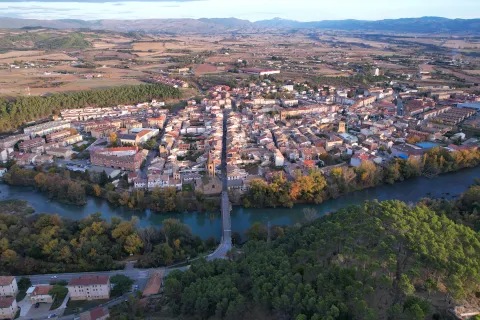 Vista aérea de Sangüesa con el río atravesando la localidad, rodeada de bosques.
