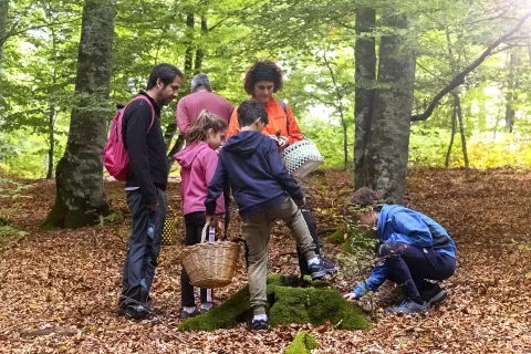 Valle de Ultzama | Parque micológico
