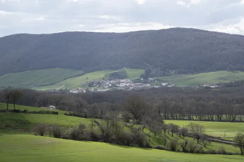 Valle de Ultzama con pueblo en prado verde rodeado de bosque y montañas boscosas de fondo.