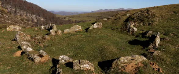 Cromlech de Aizpegi, círculos de piedra megalíticas en prado de montaña baja pirenaica con hayedo al fondo.