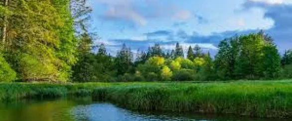 Naturaleza