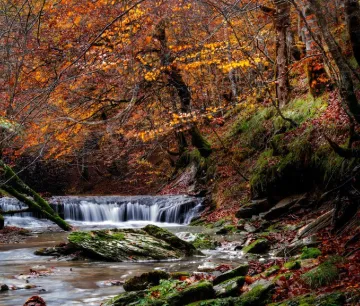selva_de_irati_otono-1-1024x575