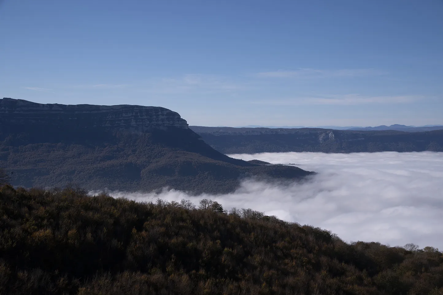 Vista de la Sierra de Aralar con bosque denso, cortados rocosos y niebla matutina.