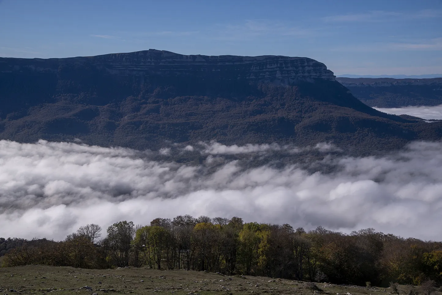Fondo general
