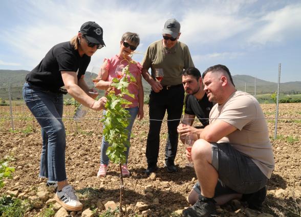 Grupo visitando viñedo en Bodega Eslava, observando planta de vid con montañas al fondo.