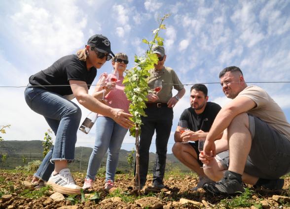 Grupo visitando viñedo en Bodega Eslava, observando planta de vid con montañas al fondo.