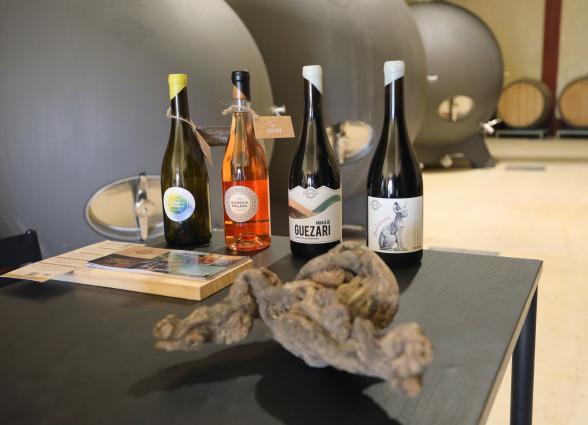 Botellas de vino en sala de cata con barriles de fondo en Bodega Eslava.