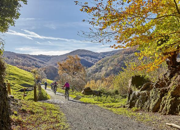 Camino Natural Vía Verde del Plazaola