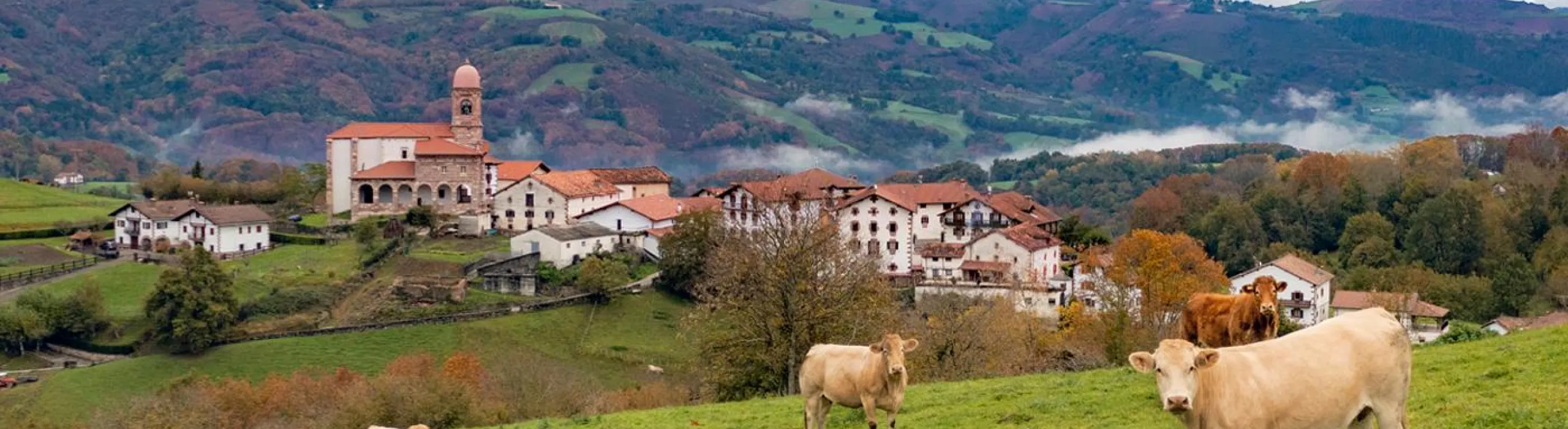 Ziga - valle de Baztan