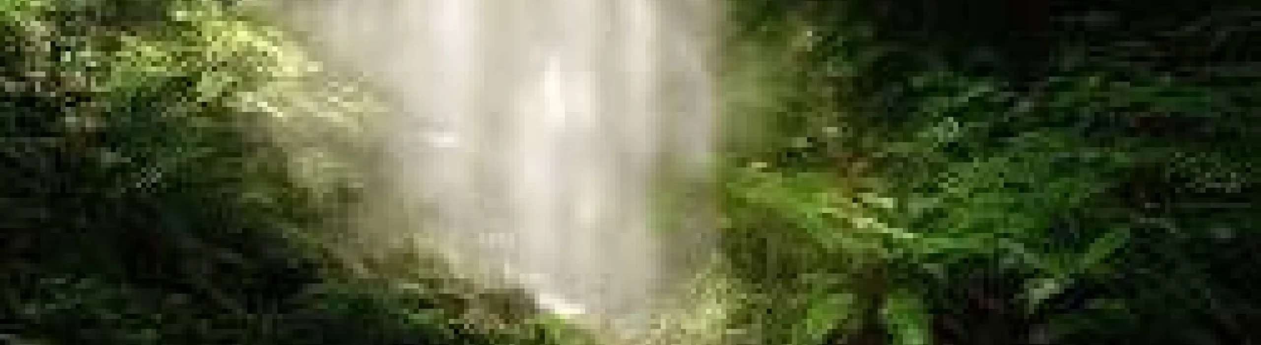 naturaleza