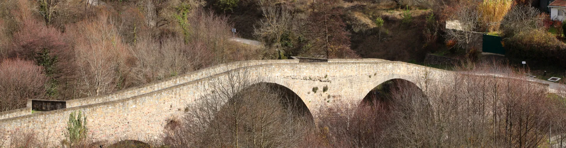 Puente de piedra de dos arcos sobre río en Aoiz, rodeado de vegetación y bosque.