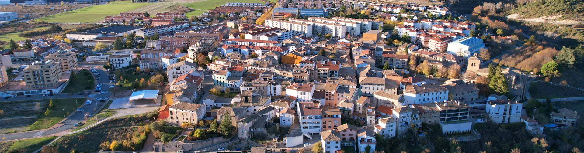 Vista aerea de Aoiz con rio Aragon, casas dispersas en valle rodeado de montes boscosos del prepirineo.