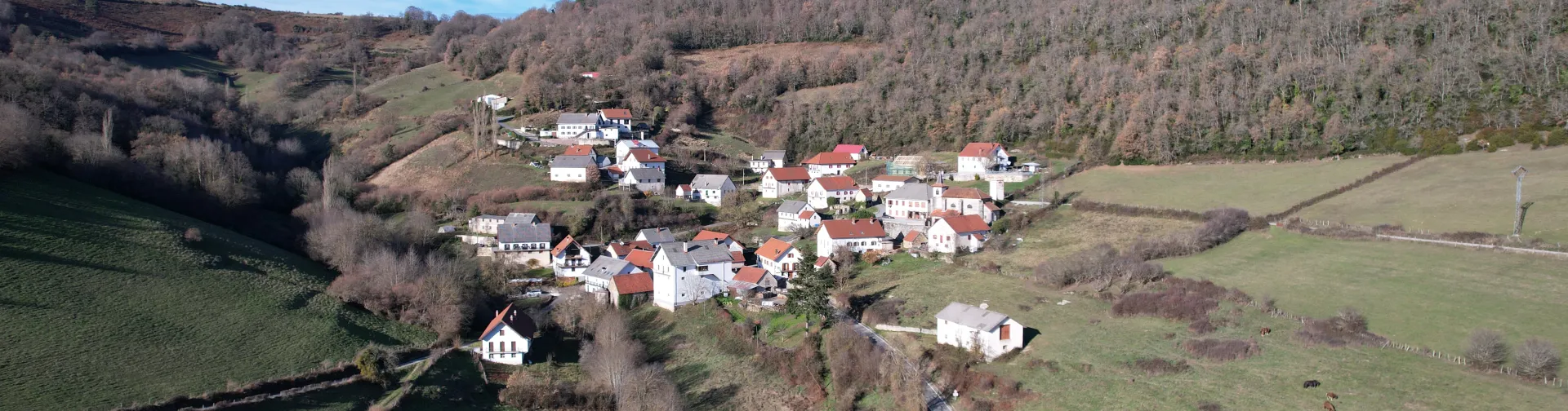 Vista aérea del pueblo de Aria rodeado de bosques y prados verdes en el Pirineo navarro, con casas de tejado rojo dispersas en el valle.
