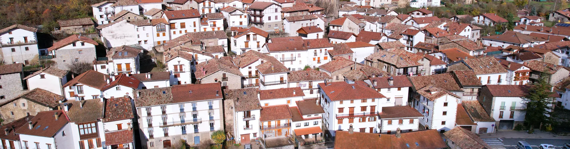 Vista aerea de Burgui con casas de arquitectura tradicional, iglesia y rio atravesando el pueblo entre montes boscosos.