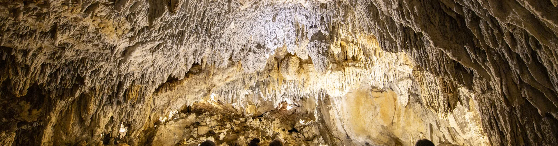 Cuevas de Urdazubi/Urdax