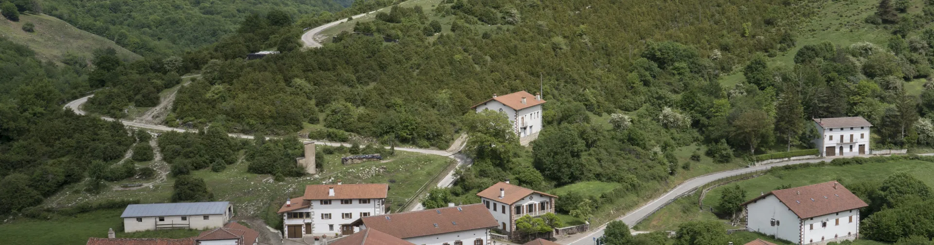 Vista general de Iragi, Pirineo de Navarra, rodeado de bosque y prados.
