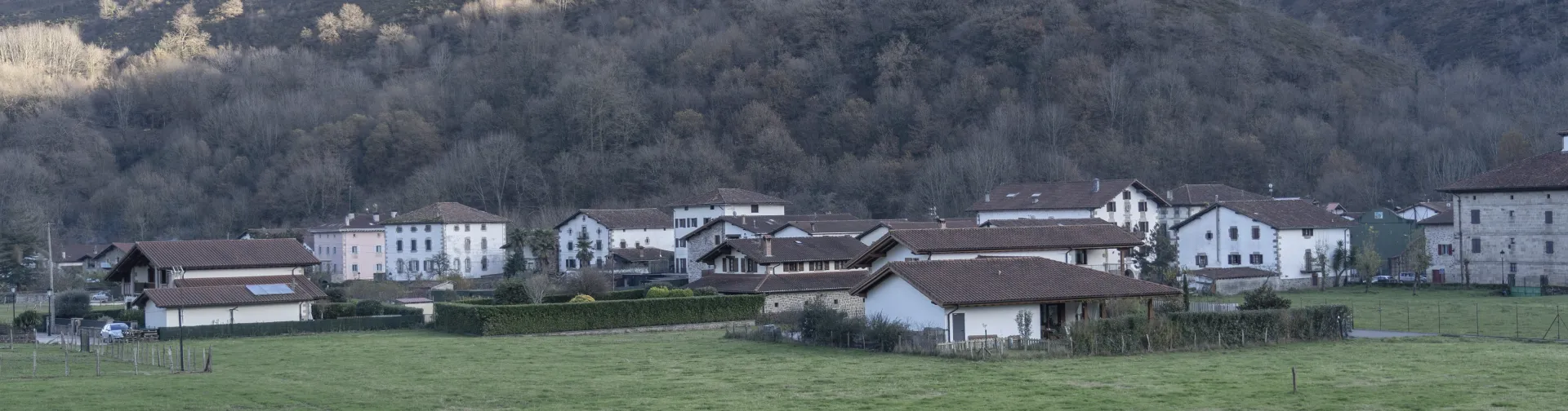 Panorámica de Ituren con casas dispersas en la ladera, prados y zonas forestales.