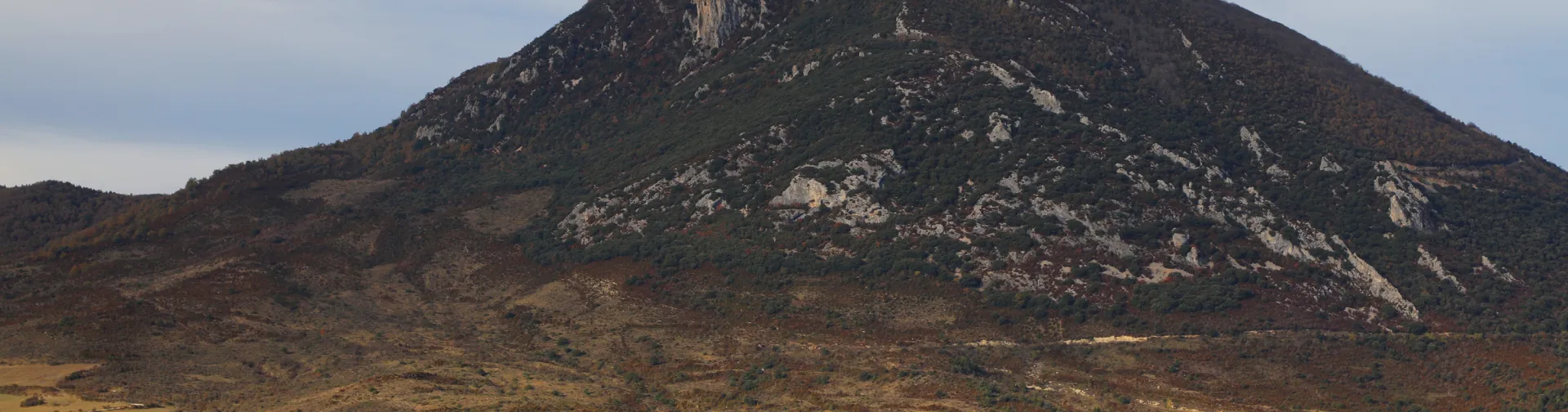 Pueblo de Izagaondoa, destaca en la parte de atrás monte boscoso al trasfondo.