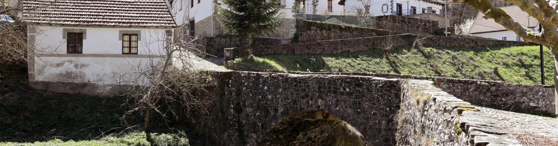 Casas de piedra blanca, cruzadas por puente de piedra sobre río pirenaico rodeado de vegetacion en Izalzu.