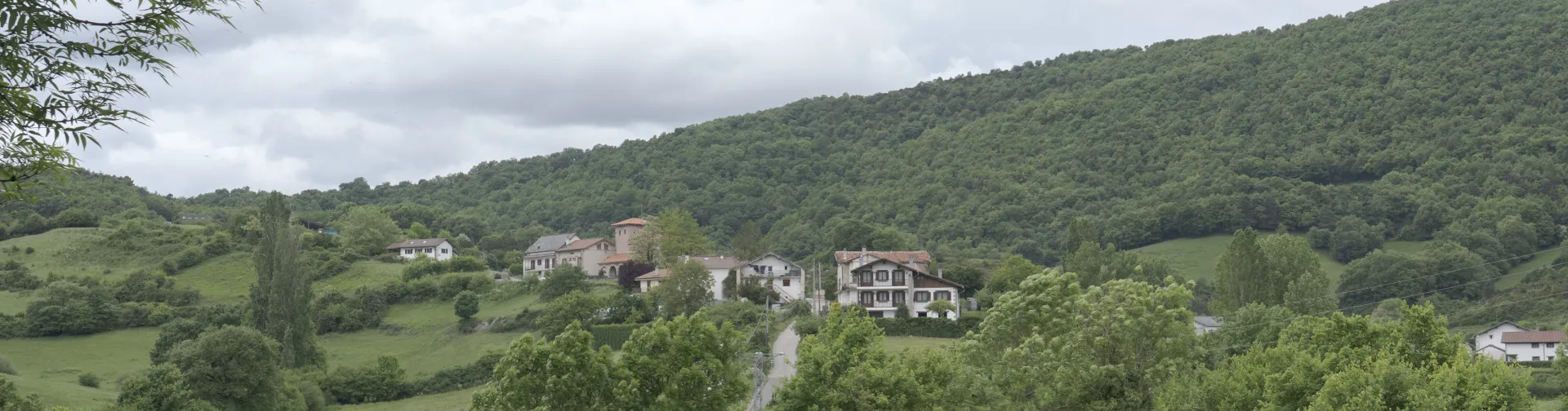 Vista general de Lintzoain en el Pirineo de Navarra con caseríos tradicionales dispersos entre prados verdes y bosque.