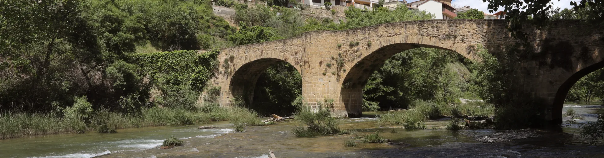 Puente de piedra sobre río en Lumbier, con pueblo en ladera y vegetación.