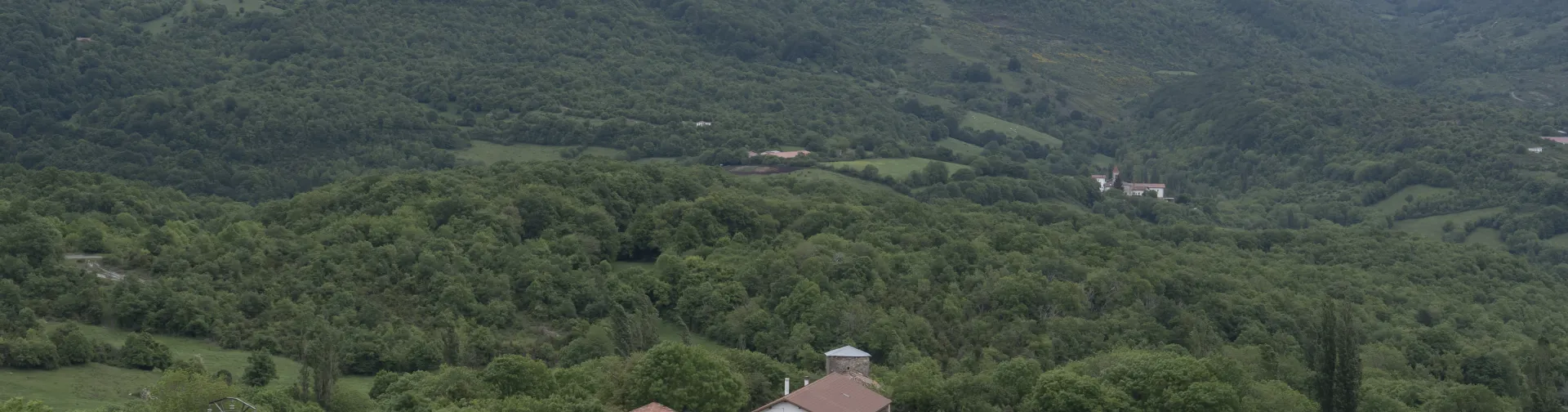 Pueblo de Lusarreta rodeado de bosque y monte.