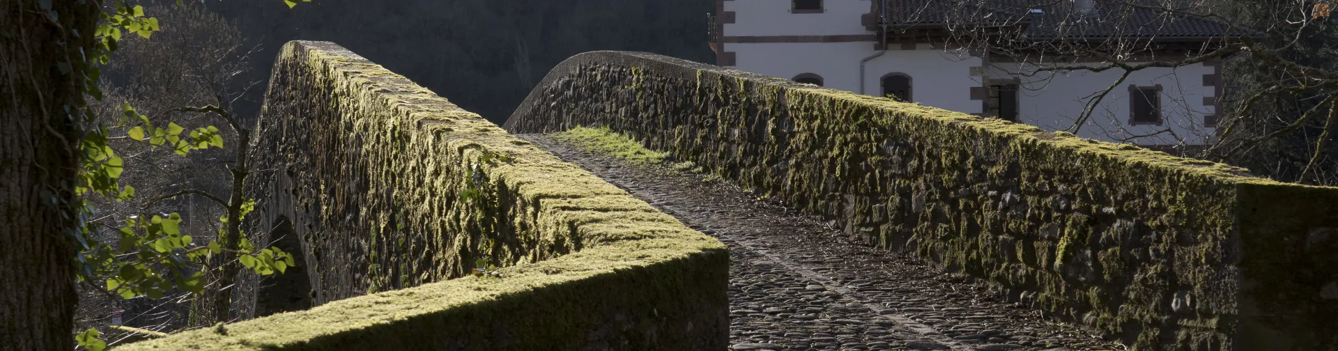 Puente de piedra sobre rio con muros musgo, en entorno boscoso y rural.