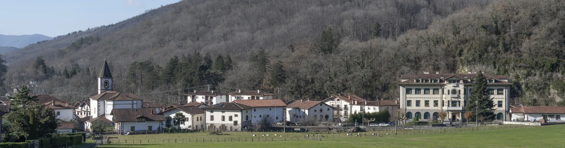 Panorámica de Oronoz con iglesia, casas dispersas, ganado en prados y montes boscosos.