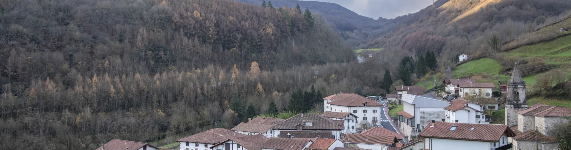 Vista general del pueblo de Almandoz, con conjunto de casas tradicionales y entorno montañoso del valle.