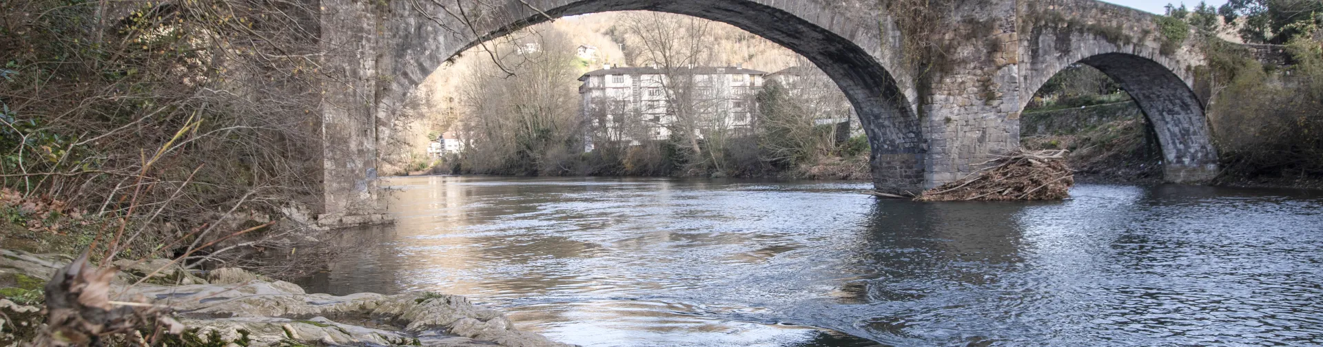 Puente construido encima del rio que pasa por Bera.