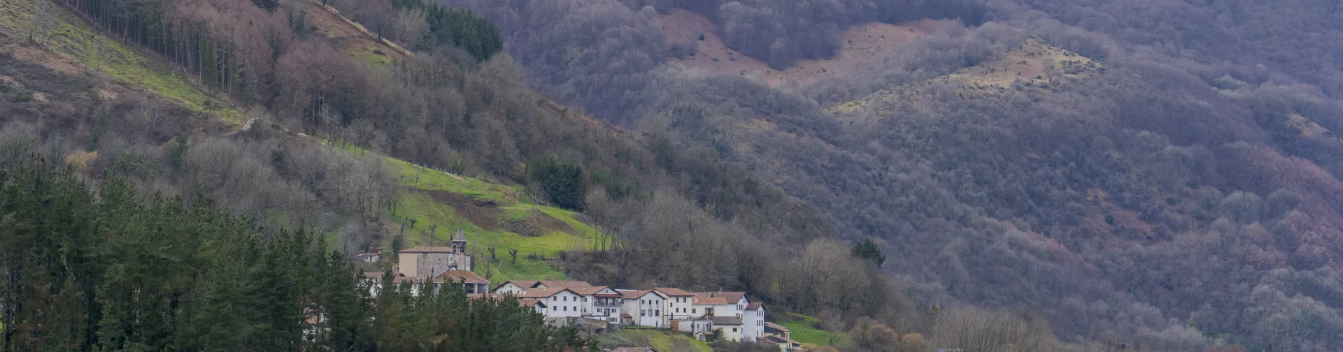 Vista general del paisaje y pueblo de Eratsun.