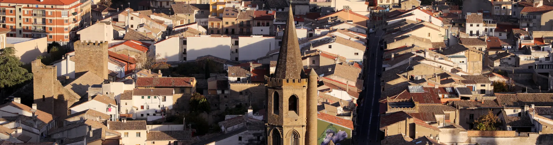 Vista aérea del pueblo de Sangüesa donde destaca la iglesia.