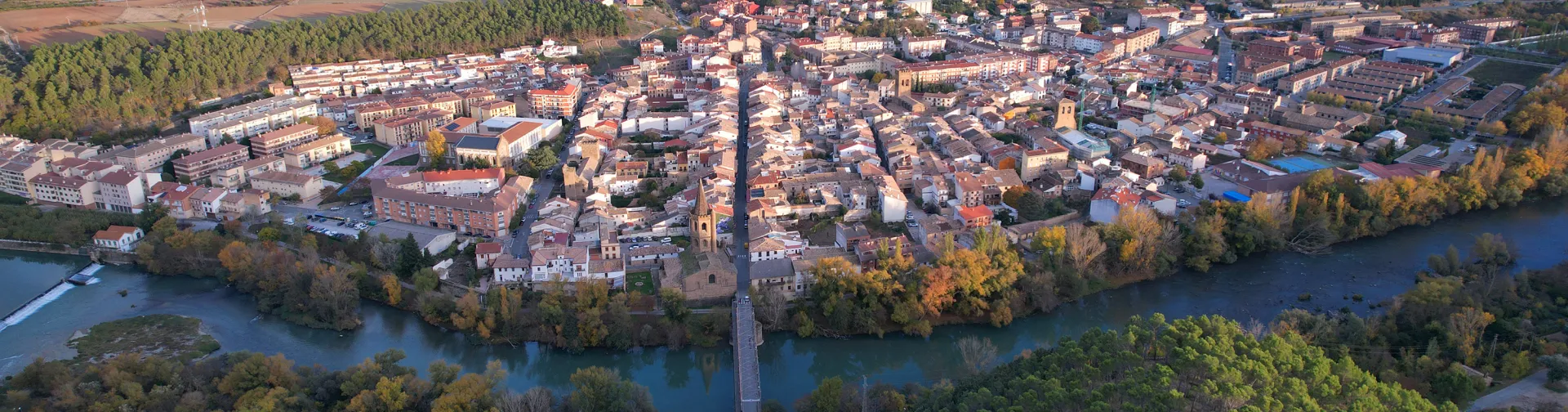 Vista aérea de Sangüesa con el río atravesando la localidad, rodeada de bosques.