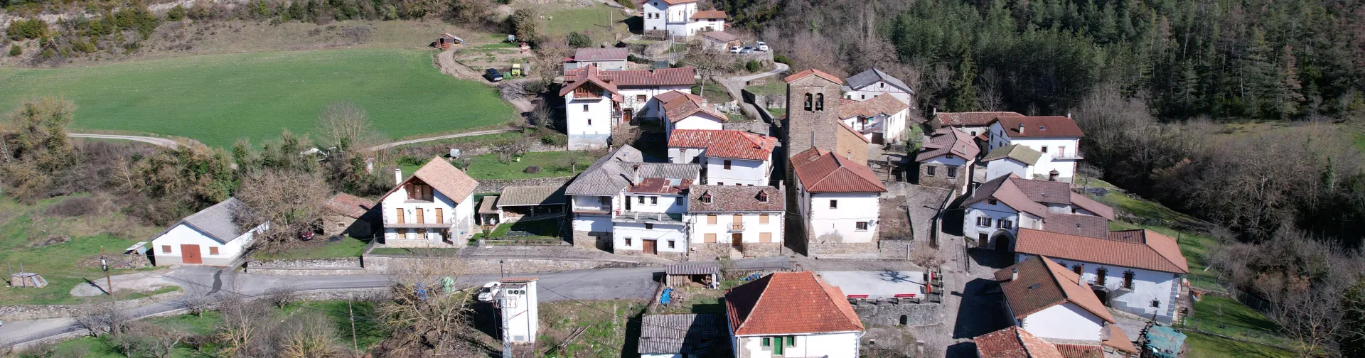 Vista aerea del pueblo de Sarries con casas de piedra y tejados rojos rodeadas de bosque y prados verdes en el Pirineo de Navarra.