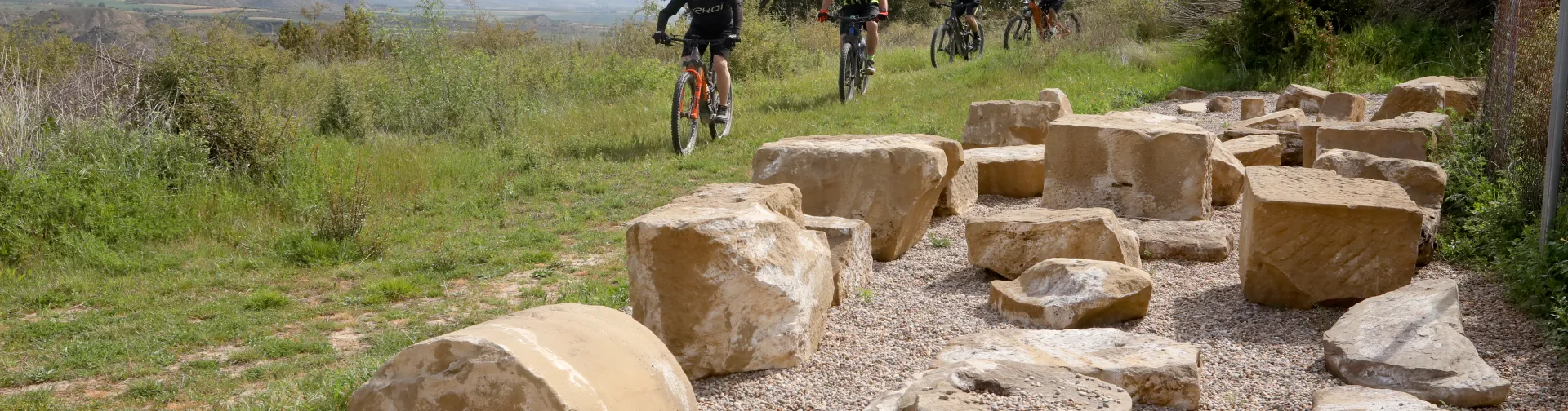 Grupo de ciclistas andando por el prado verde, al lado piedras.