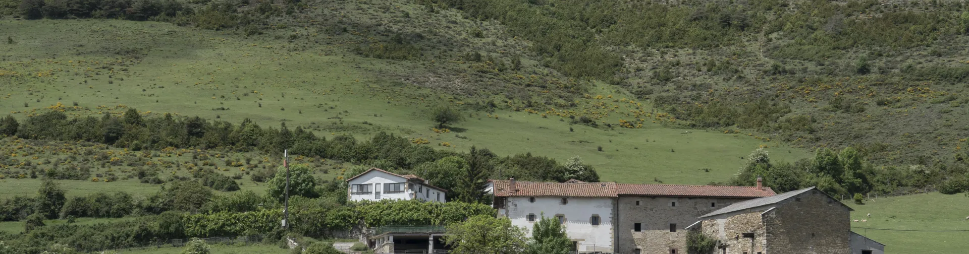 Vista general del pueblo de Usetxi, Pirineo de Navarra, rodeados de prados verdes, monte y vegetacion.