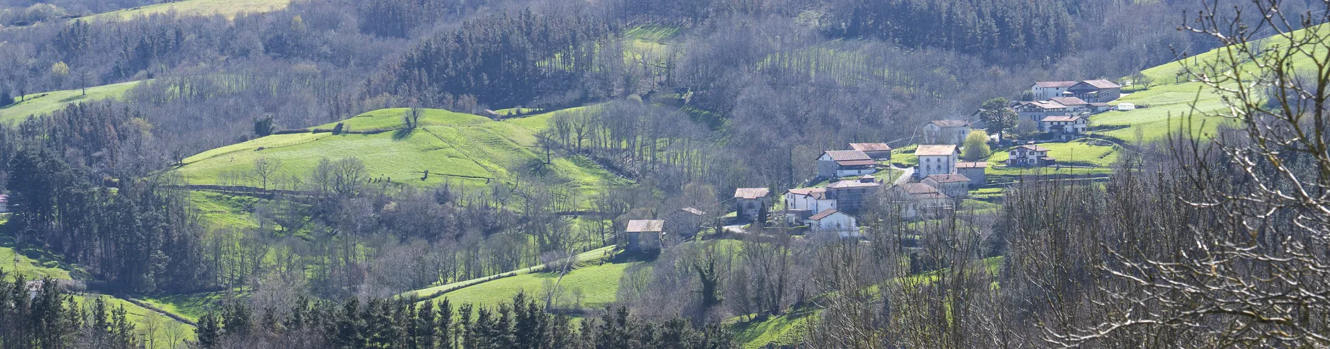 Vista panorámica del Valle de Araitz con casas dispersas entre prados verdes, bosques y montañas al fondo.