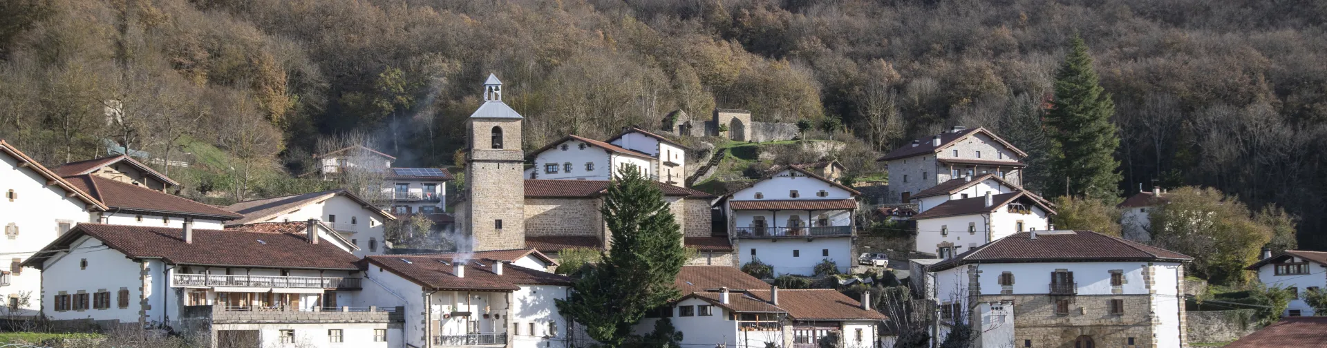 Pueblo de Imoz con iglesia campanario y casas de piedra blanca rodeado de bosques montañosos de robles.