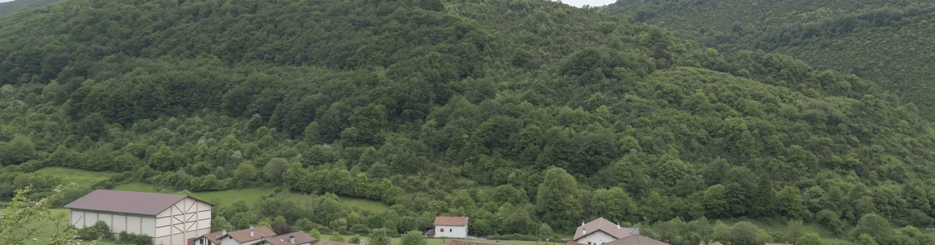 Casas dispersas de Zilbeti en rodeado de bosque y monte.