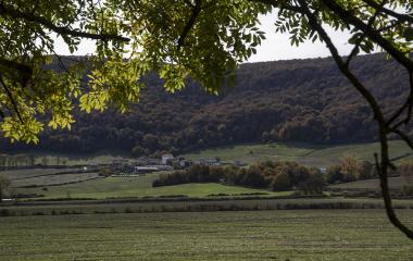 Valle con pueblo de Basaburua al fondo, prados verdes, bosques de montaña y encuadre natural con rama de árbol.