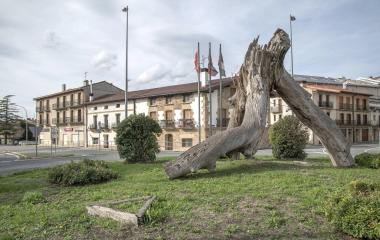 Tronco retorcido de árbol en una rotonda de Etxarri Aranaz, con edificios de piedra y banderas al fondo.