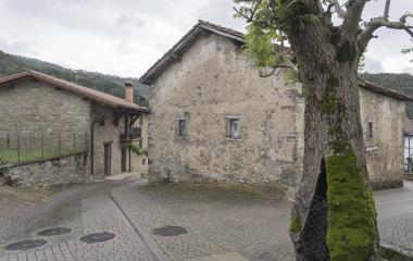 Conjunto de casas de piedra  en Inbuluzketa, Pirineo Navarro, en calle  empedrada y árbol  cubierto de musgo.