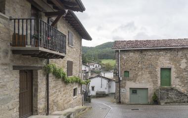 Conjunto de casas de piedra  en Inbuluzketa, Pirineo Navarro, en calle  empedrada y árbol  cubierto de musgo.