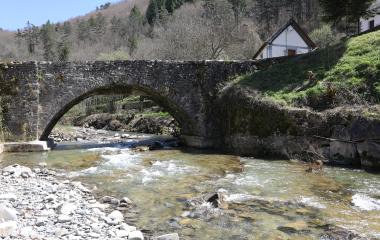 Puente de piedra sobre río en Izalzu con bosque de hayas al fondo.